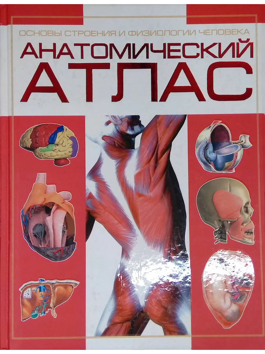 И хотя учеными каждый день делаются новые научные открытия и технический пр...
