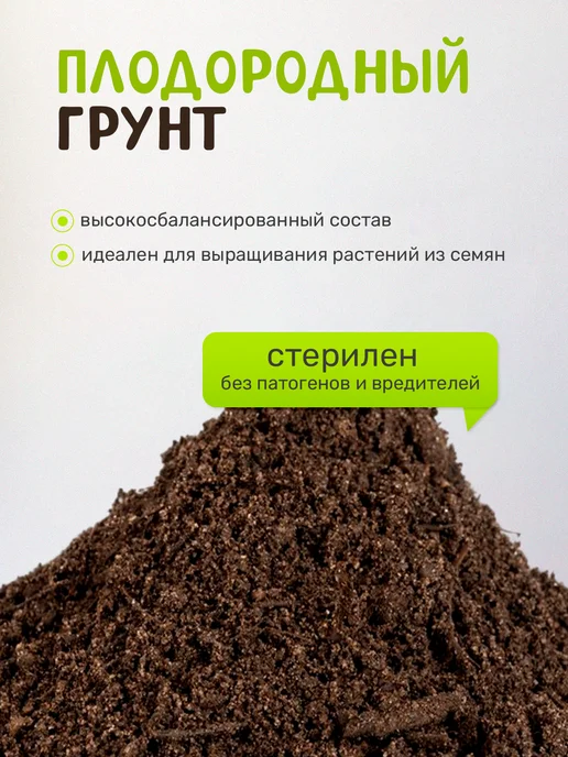Сад на окне Бонсай Айва японская набор для выращивания растений, вариант, фото 6