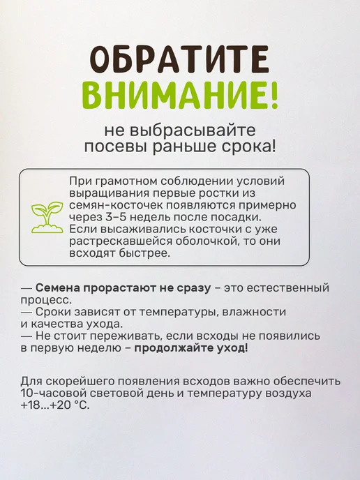 Сад на окне Бонсай Сакура Фудзи набор для выращивания растений, вариант, фото 3