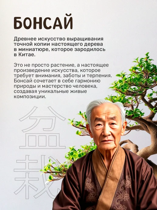 Сад на окне Бонсай Сакура Фудзи набор для выращивания растений, вариант, фото 4