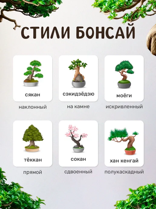 Сад на окне Бонсай Лиственница набор для выращивания растений, вариант, фото 4