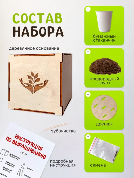 Сад на окне Бонсай Лиственница набор для выращивания растений, вариант, фото 5