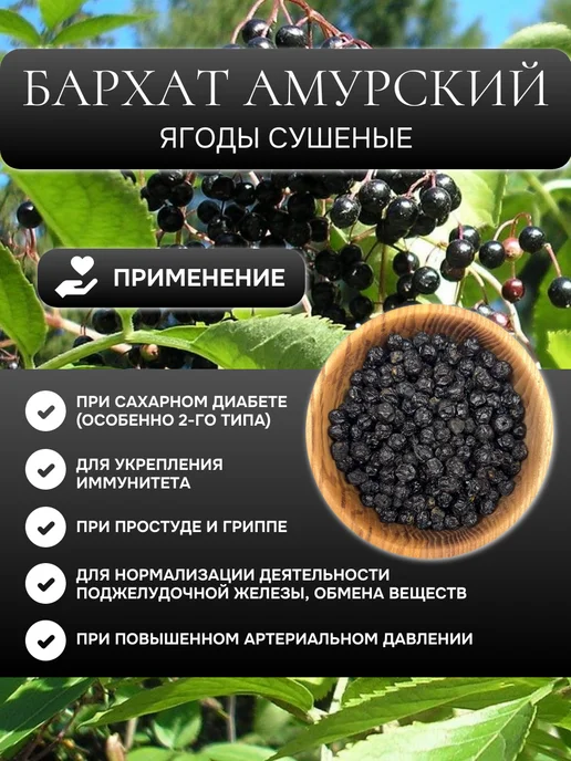 алтайрост Бархат амурский ягоды сушеные, 150 г, 150 г, фото 2