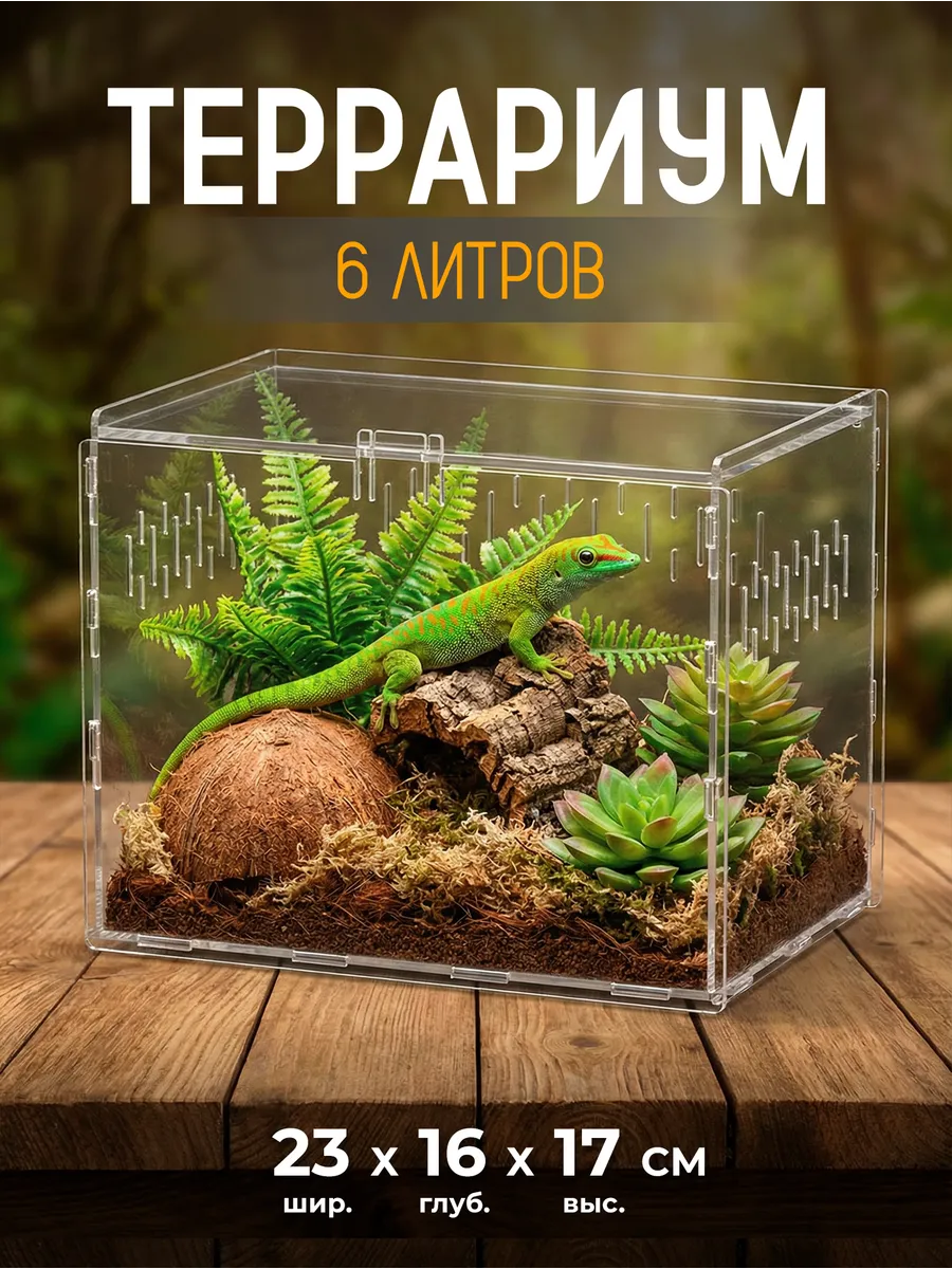 Террариум Для Рептилий