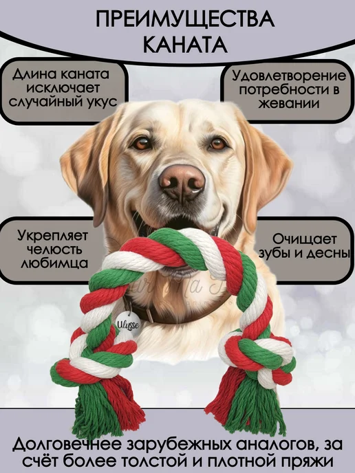 PetLux Игрушка для собак крупных пород, канат, зеленый, фото 4