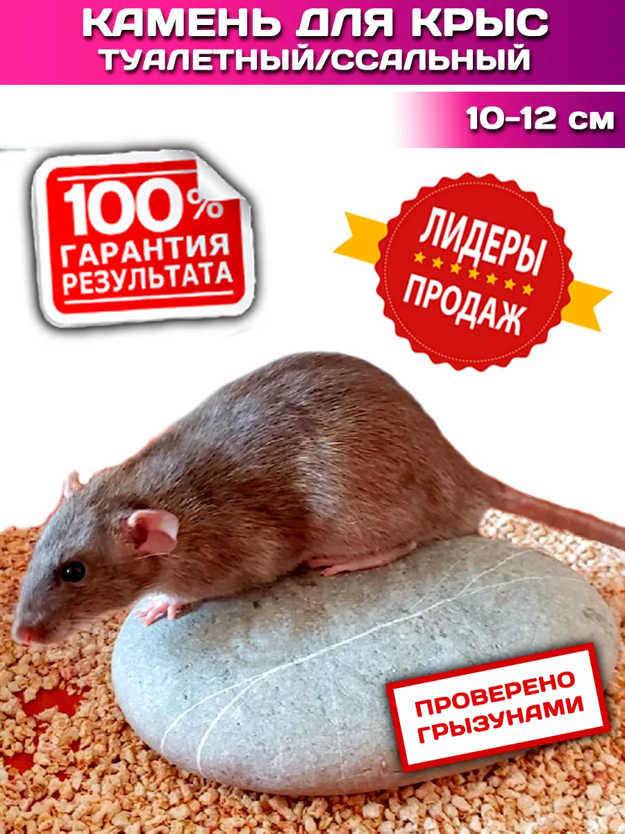 Туалетный камень для крыс, ссальный