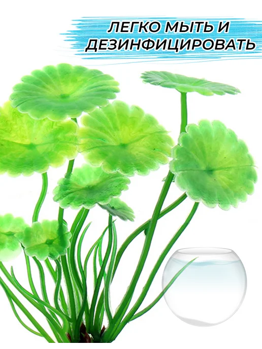 Brutox Растение для аквариума Фиолетовые Кувшинки 10см, зеленый, фото 2