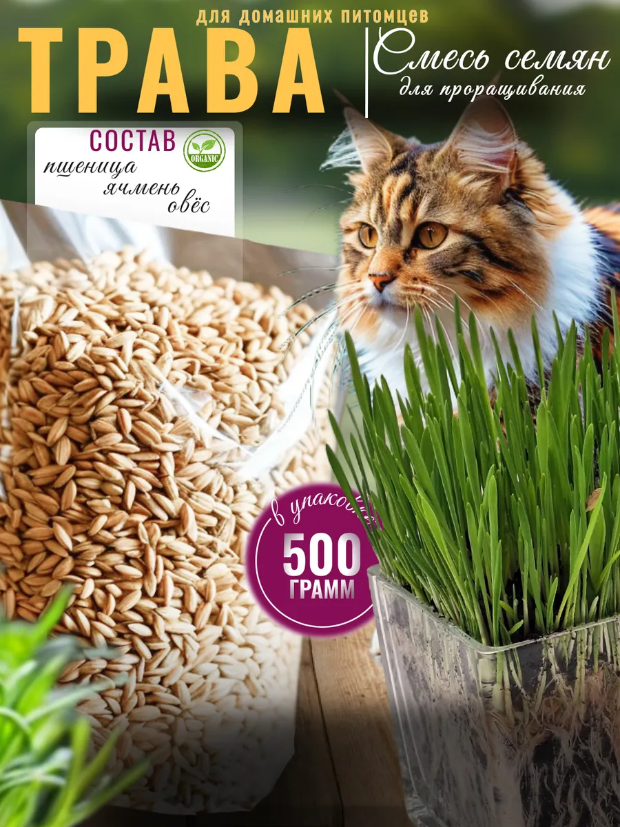 Трава для кошек проращивания 500гр.