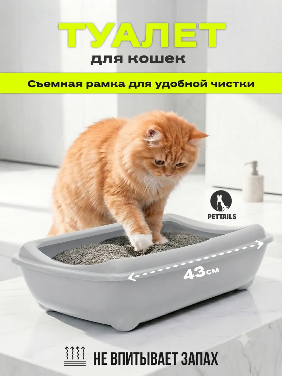 Лоток для кошек большой с высокими бортами 43х30х12см