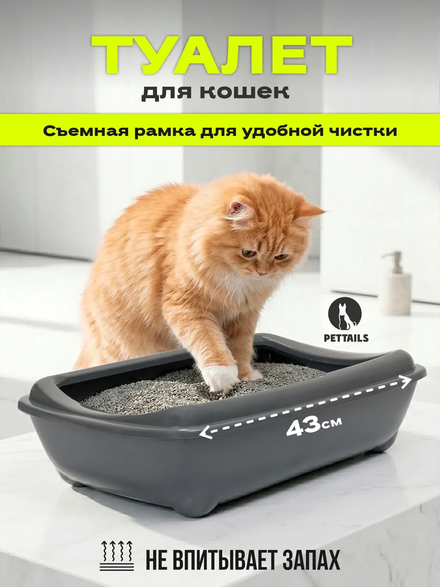 Лоток для кошек большой с высокими бортами 43х30х12см