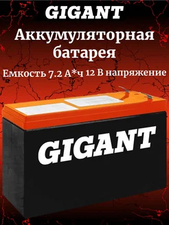 GIGANT Аккумуляторная батарея GHR-12070