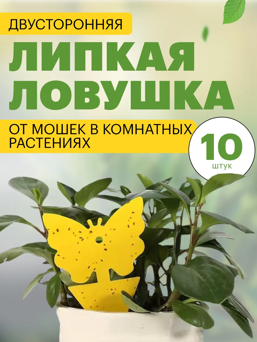 Липкая ловушка от мошек в горшках, средство от насекомых