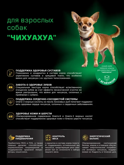 Сухой корм QUATTRO Чихуахуа для собак, ягненок, 12 кг, фото 2