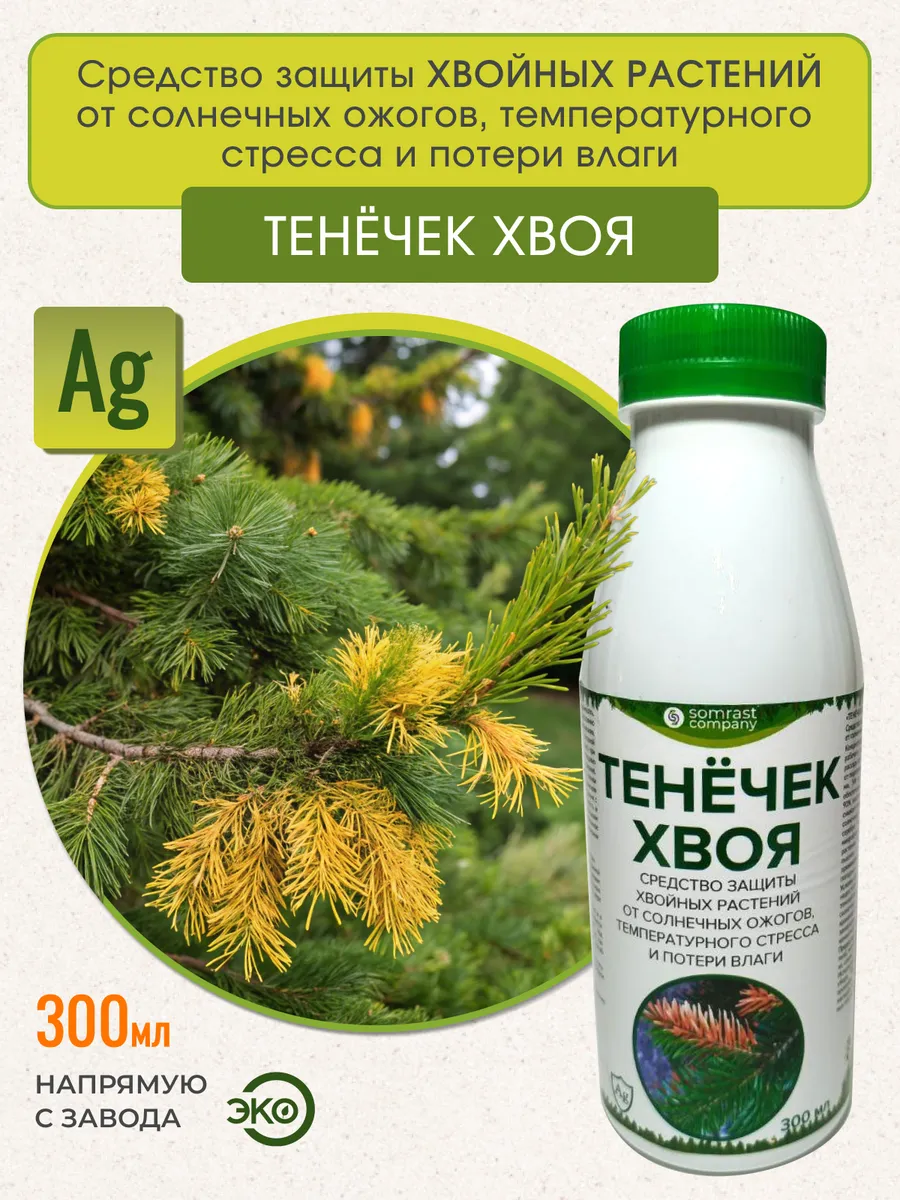 Подкормка для хвойных растений от солнечных ожогов Хвоя