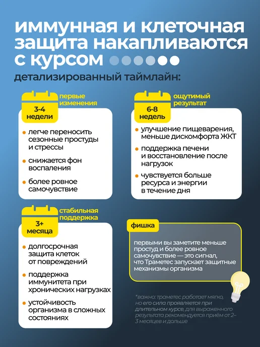 ALTIME Траметес разноцветный мицелий в капсулах 700мг, вариант, фото 7