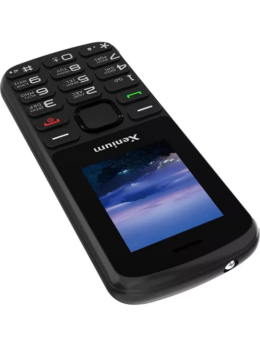 XENIUM Мобильный телефон X170 Black, черный, фото 7