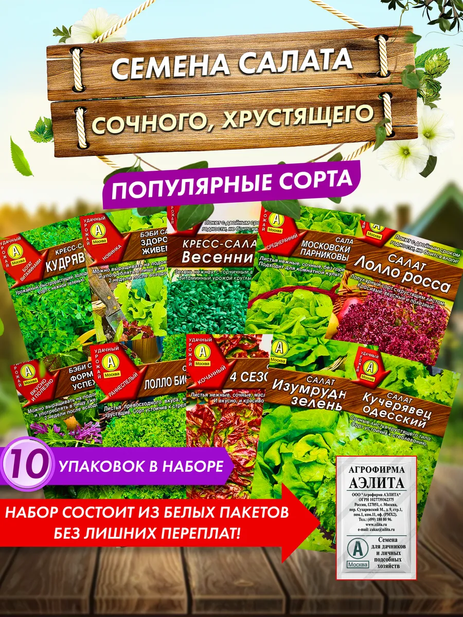 Семена салата