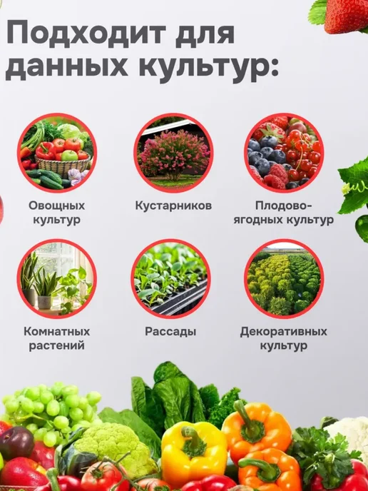 СЕЛЬХОЗХИМИЯ Абига пик фунгицид для растений, 100 мл (2шт по 50мл), 100 мл, 2 шт, фото 6
