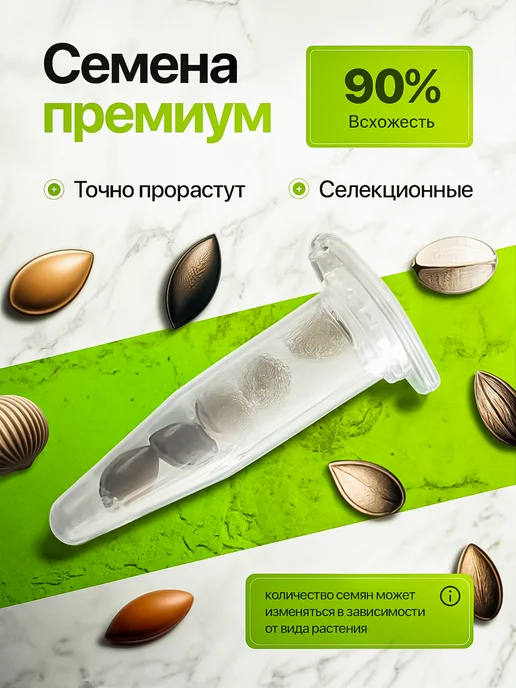 Про Растения Набор для выращивания растений Олива, зеленый, фото 2