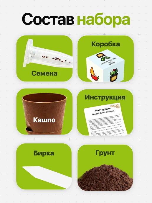 Про Растения Набор для выращивания растений Олива, зеленый, фото 3