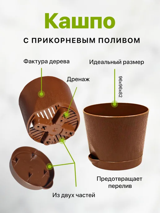 Про Растения Набор для выращивания растений Олива, зеленый, фото 6