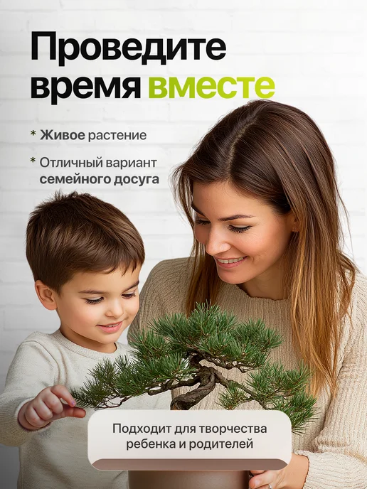 Про Растения Набор для выращивания растений Олива, зеленый, фото 7