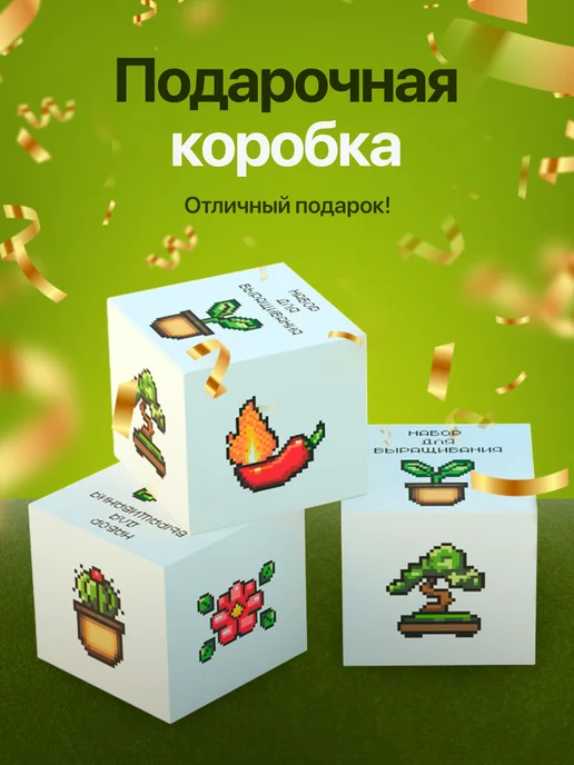 Про Растения Набор для выращивания растений Олива, зеленый, фото 8