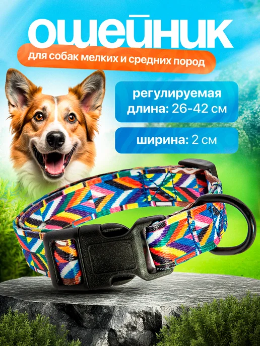 PetsVector Ошейник для собак, фиолетовый