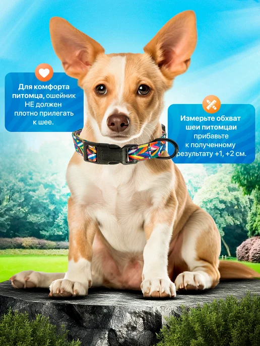 PetsVector Ошейник для собак, фиолетовый, фото 3