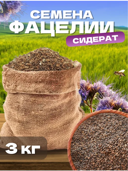 Фацелия семена сидерат 1 кг, 3 кг