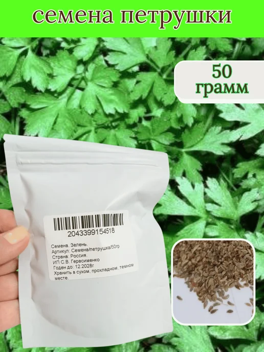 Семена укропа на зелень, вариант