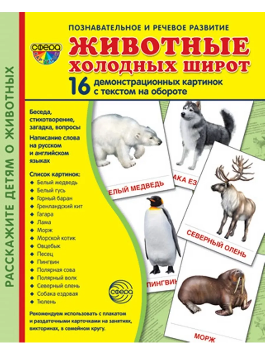 Животные холодных широт. 16 демонстрационных картинок