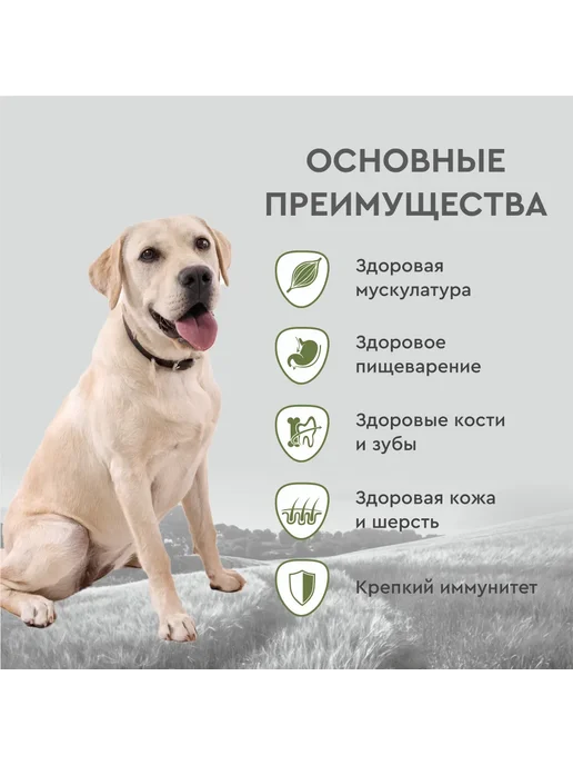 Сухой корм Secret for Pets Секрет для собак, утка, 2 кг, фото 3