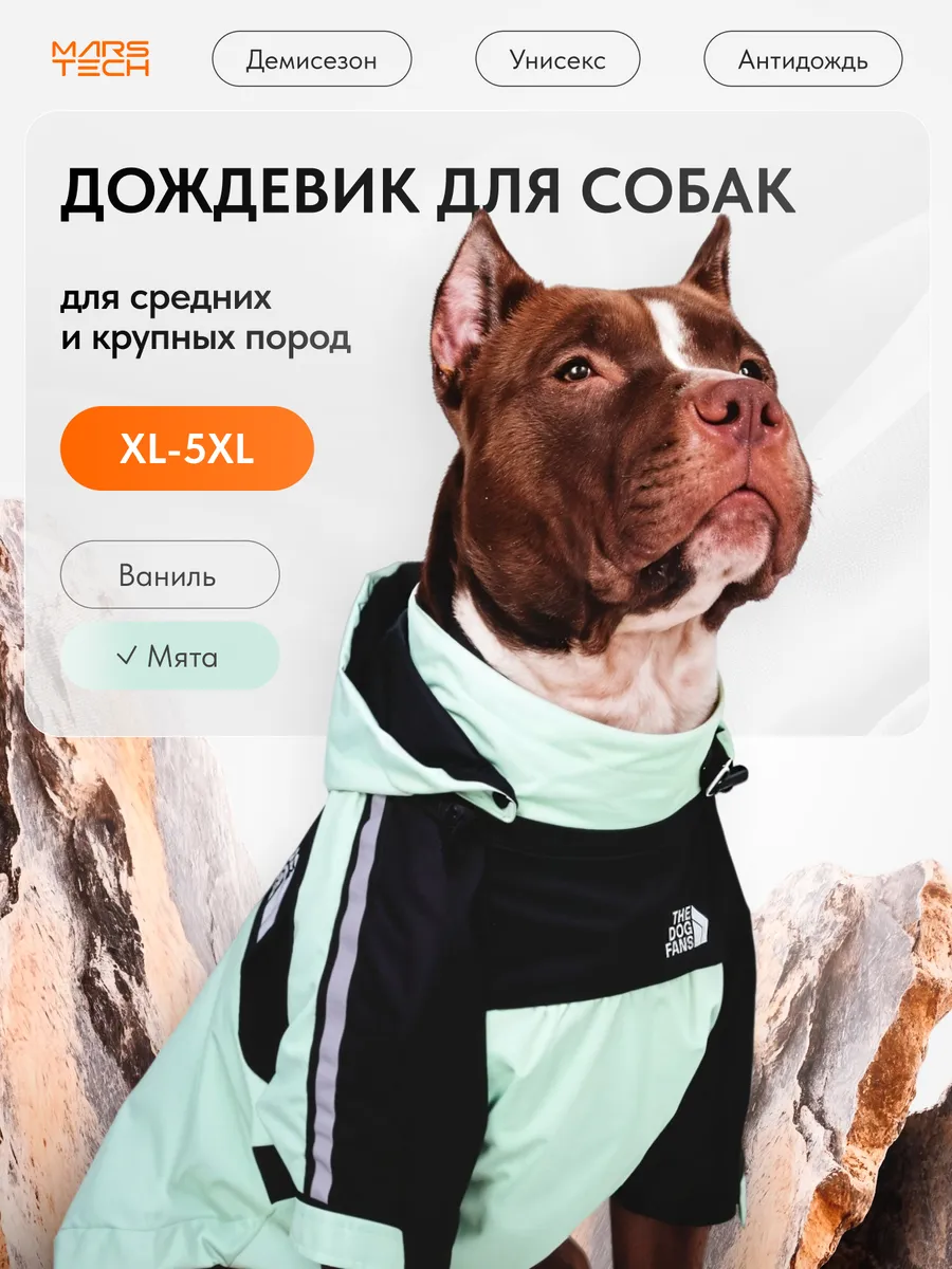 Дождевик для собак средних пород светоотражающий