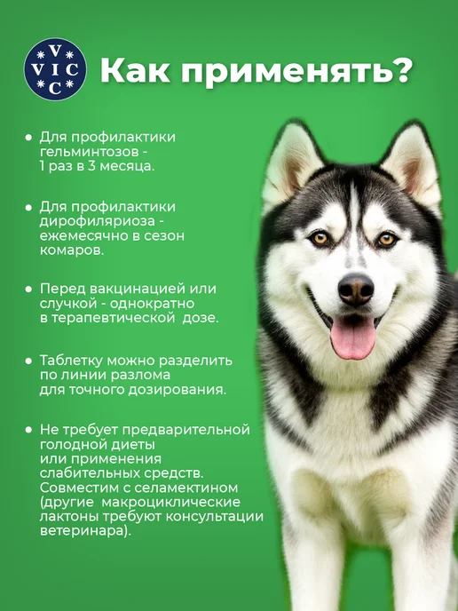 ВИК Пинпрамиль для крупных собак, 4 таб, 12,5мг 125мг, вариант, фото 2