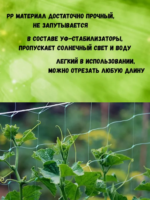 Сетка ПК Сетка садовая шпалерная для огурцов яч.17х15см 2х10м, 2x10 м, фото 2