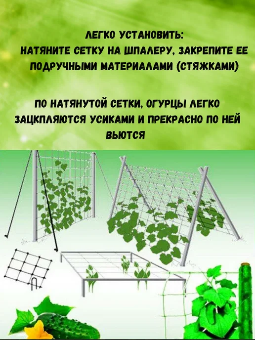Сетка ПК Сетка садовая шпалерная для огурцов яч.17х15см 2х10м, 2x10 м, фото 3