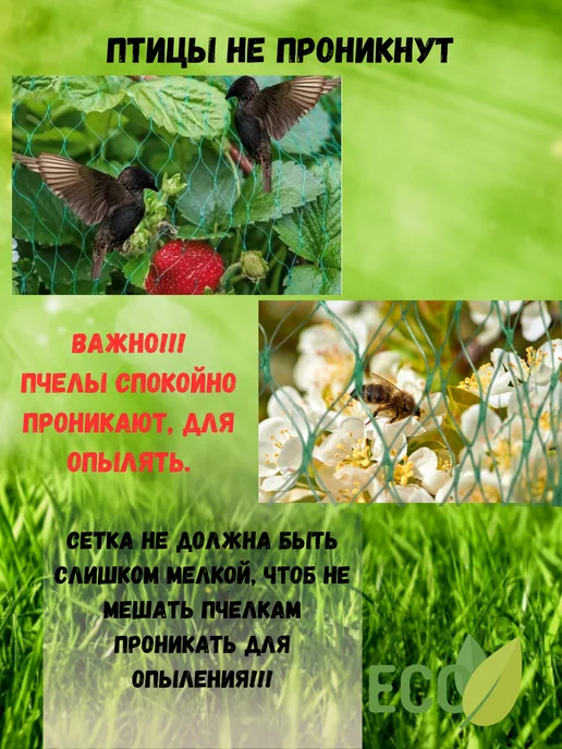 Сетка ПК Сетка для защиты от птиц яч.10х10 мм 2х10м, 2x10 м, фото 4