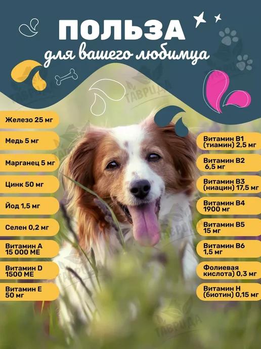 Сухой корм All Dogs для собак, взрослые, курица, 2,2 кг, фото 4