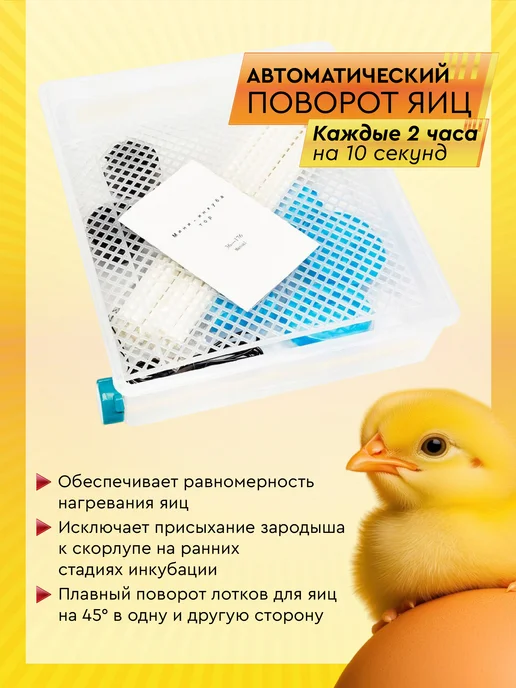 Electropastyx Инкубатор автоматический AGRI на 56-64 яиц, 56-64, фото 3