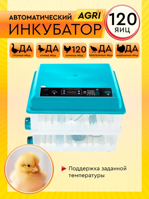 Electropastyx Инкубатор автоматический AGRI на 120 яиц, синий