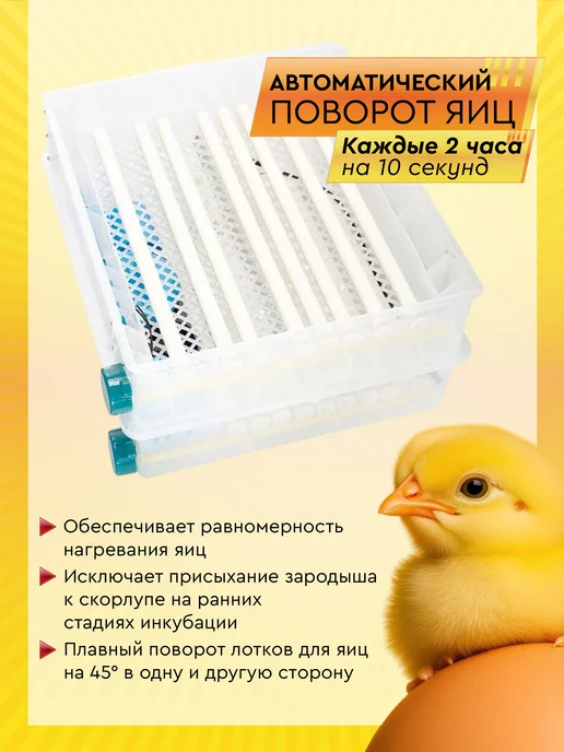 Electropastyx Инкубатор автоматический AGRI на 120 яиц, синий, фото 2