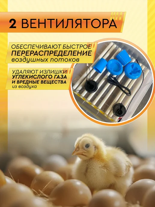 Electropastyx Инкубатор автоматический AGRI на 120 яиц, синий, фото 5