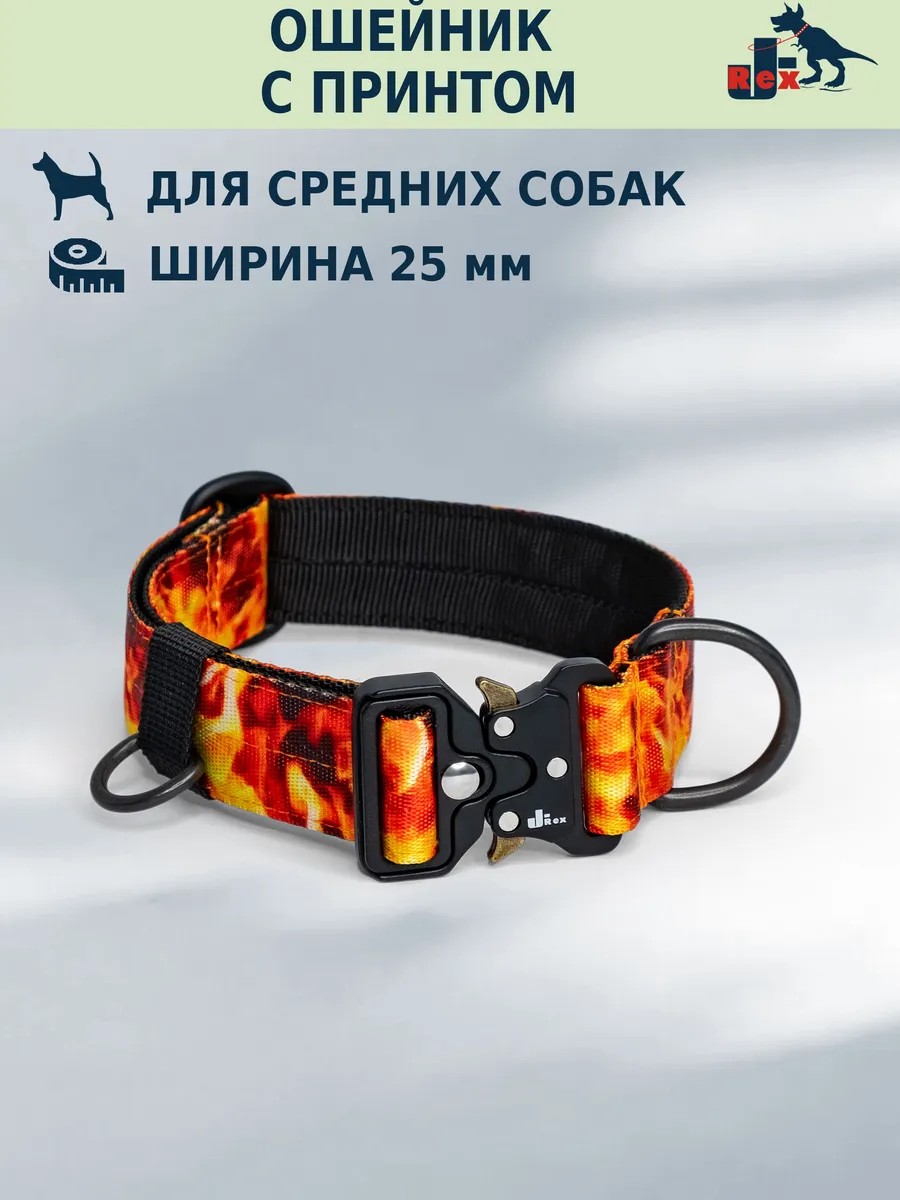 Ошейник с принтом "Graphic", 25 мм, пряжка "Кобра"