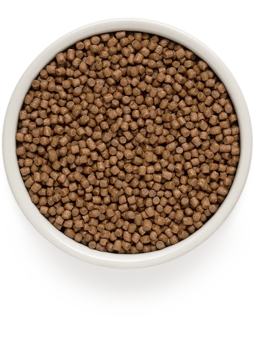 Сухой корм Grandorf' Котят для собак, индейка, ягненок, 8 кг, фото 4