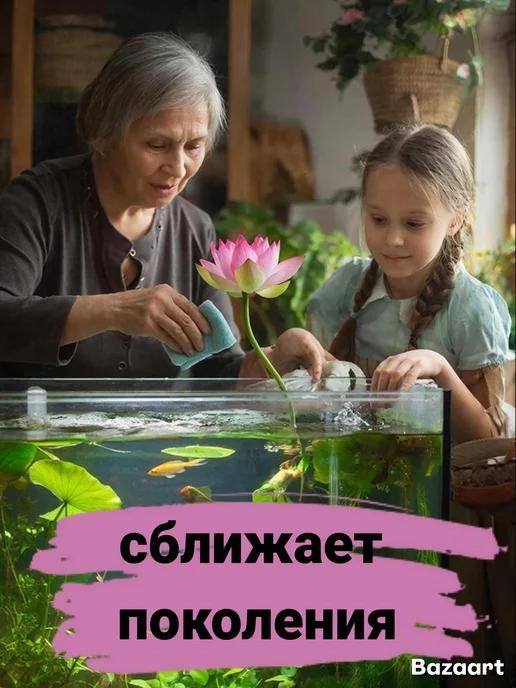 без бренда Набор вырасти живое растение в горшке с семенами Лотос, вариант, фото 7