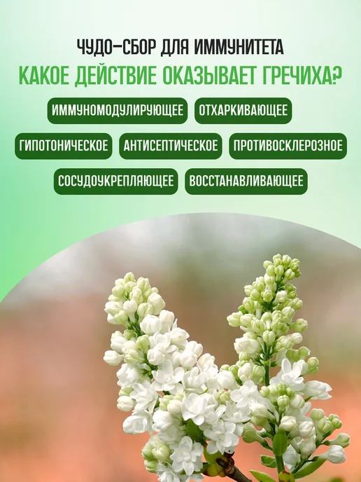Мед и Конфитюр Гречиха трава и цветки 40 гр. 2 уп, 40 г, фото 5