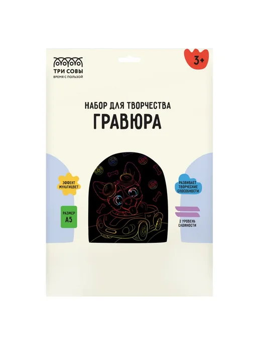 Гравюра А5 Веселый корги, Гонщик 49954