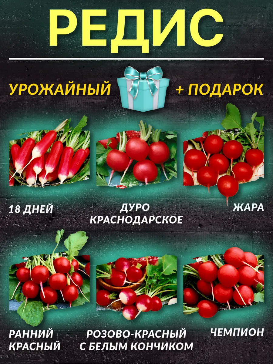 Семена редиса раннего