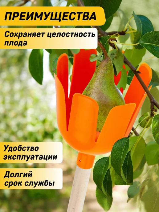 Инструм-агро Плодосъемник Гардения, вариант, фото 2